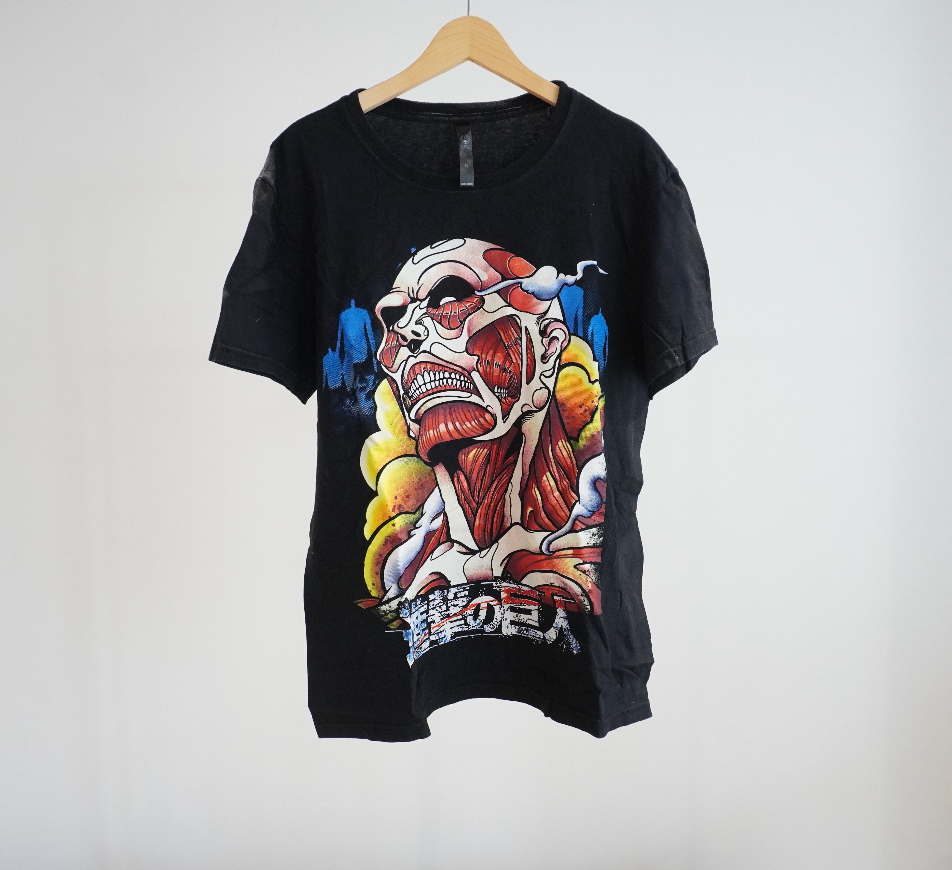 Attack on Titan_Titan<進撃の巨人>