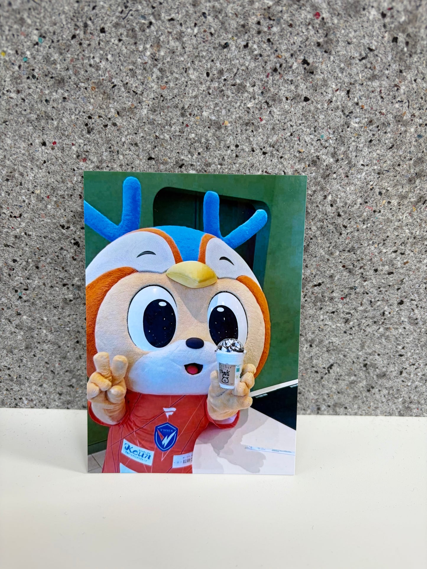 チャリティ写真7(ヴィヴィくんとへいわてん)/L版