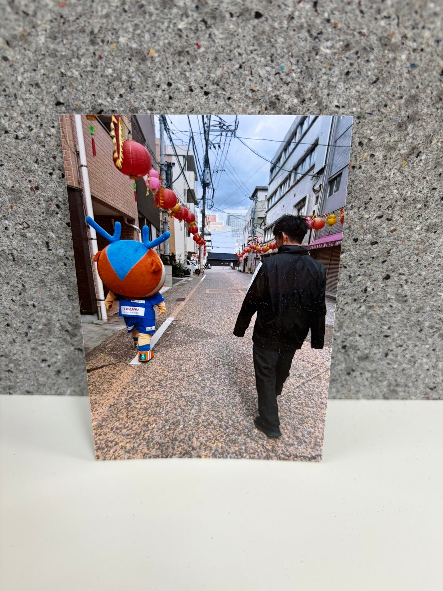 チャリティ写真19(ヴィヴィくんとへいわてん)/L版