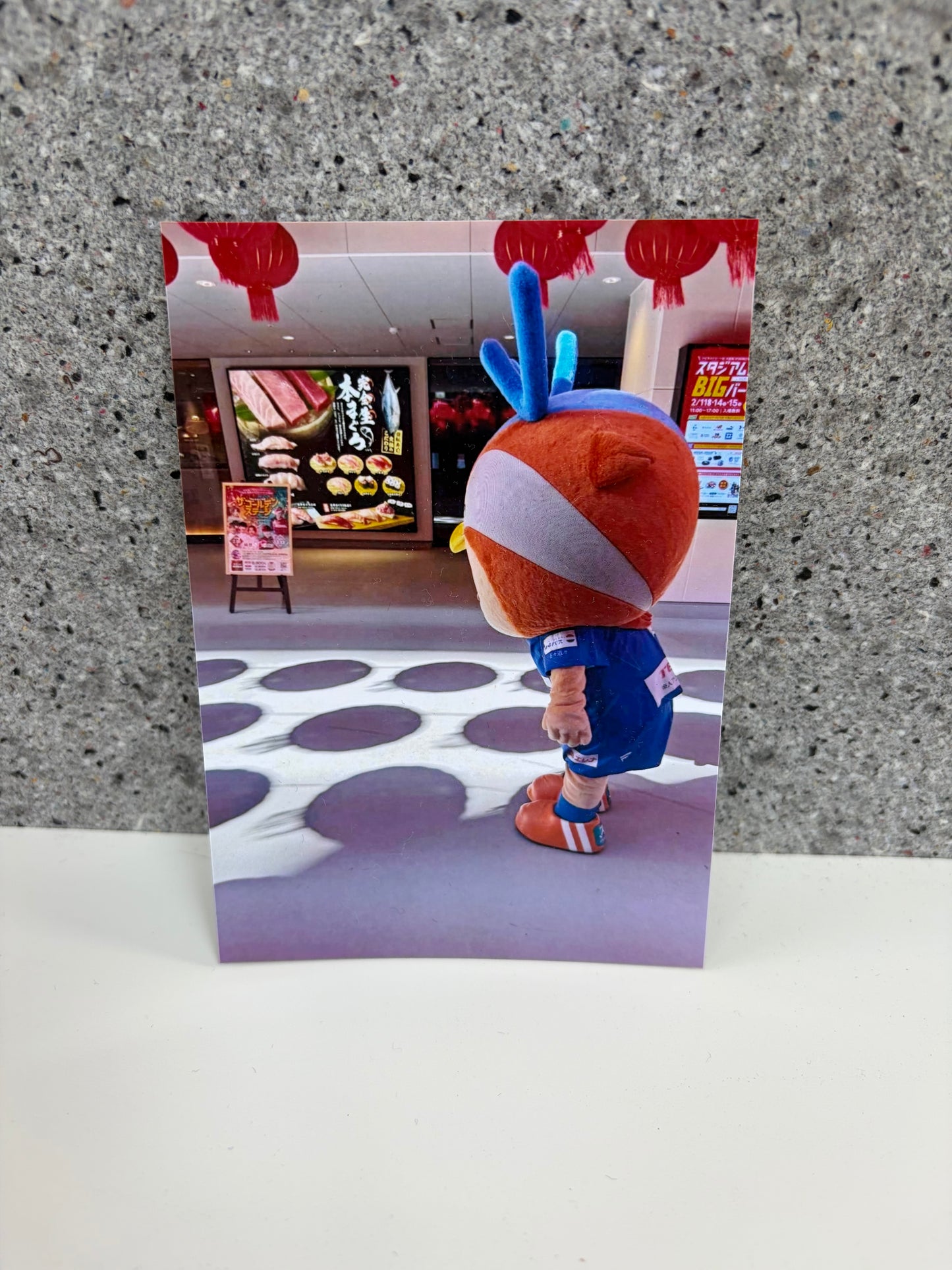 チャリティ写真20(ヴィヴィくんとへいわてん)/L版