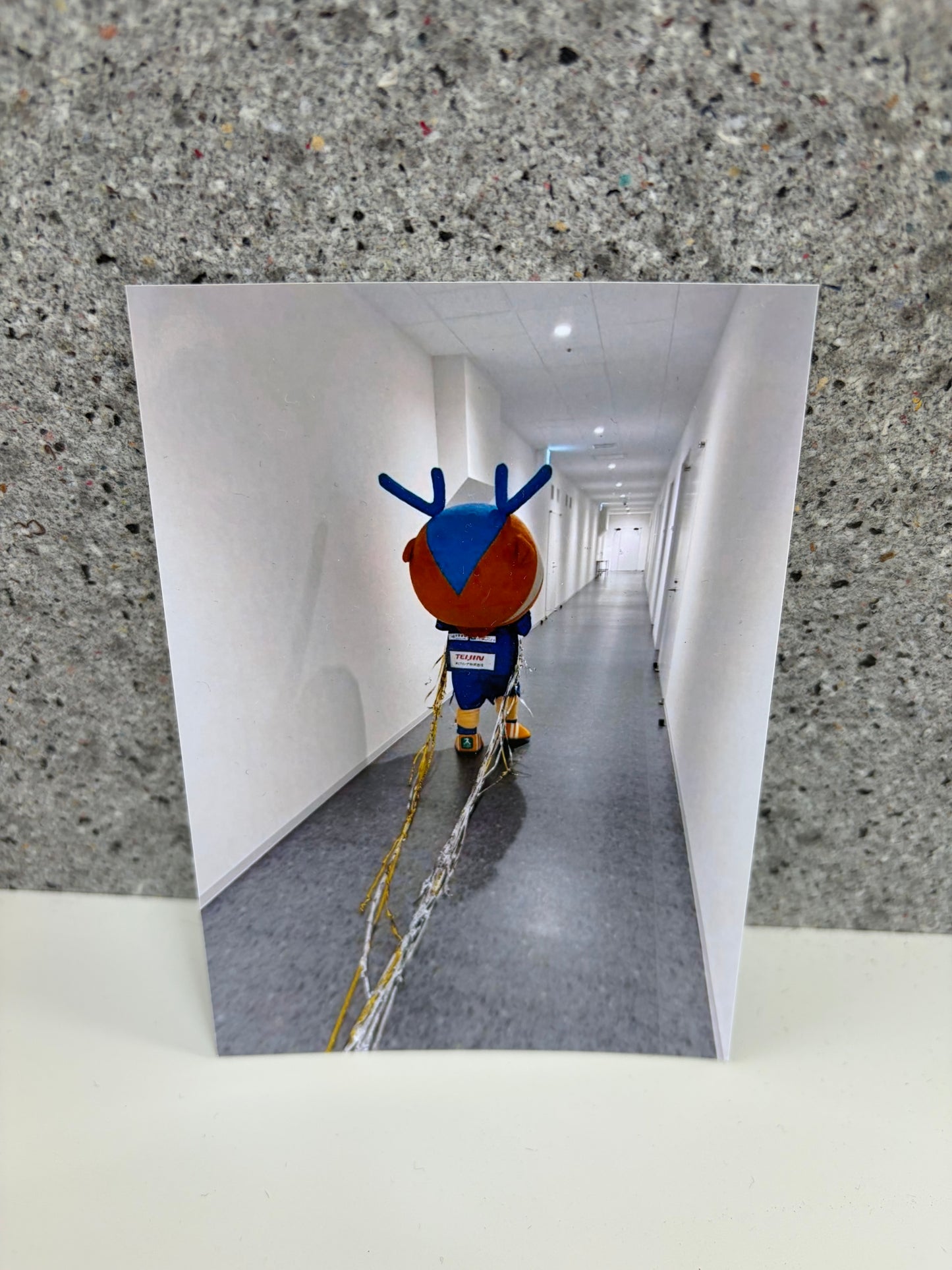 チャリティ写真25(ヴィヴィくんとへいわてん)/L版