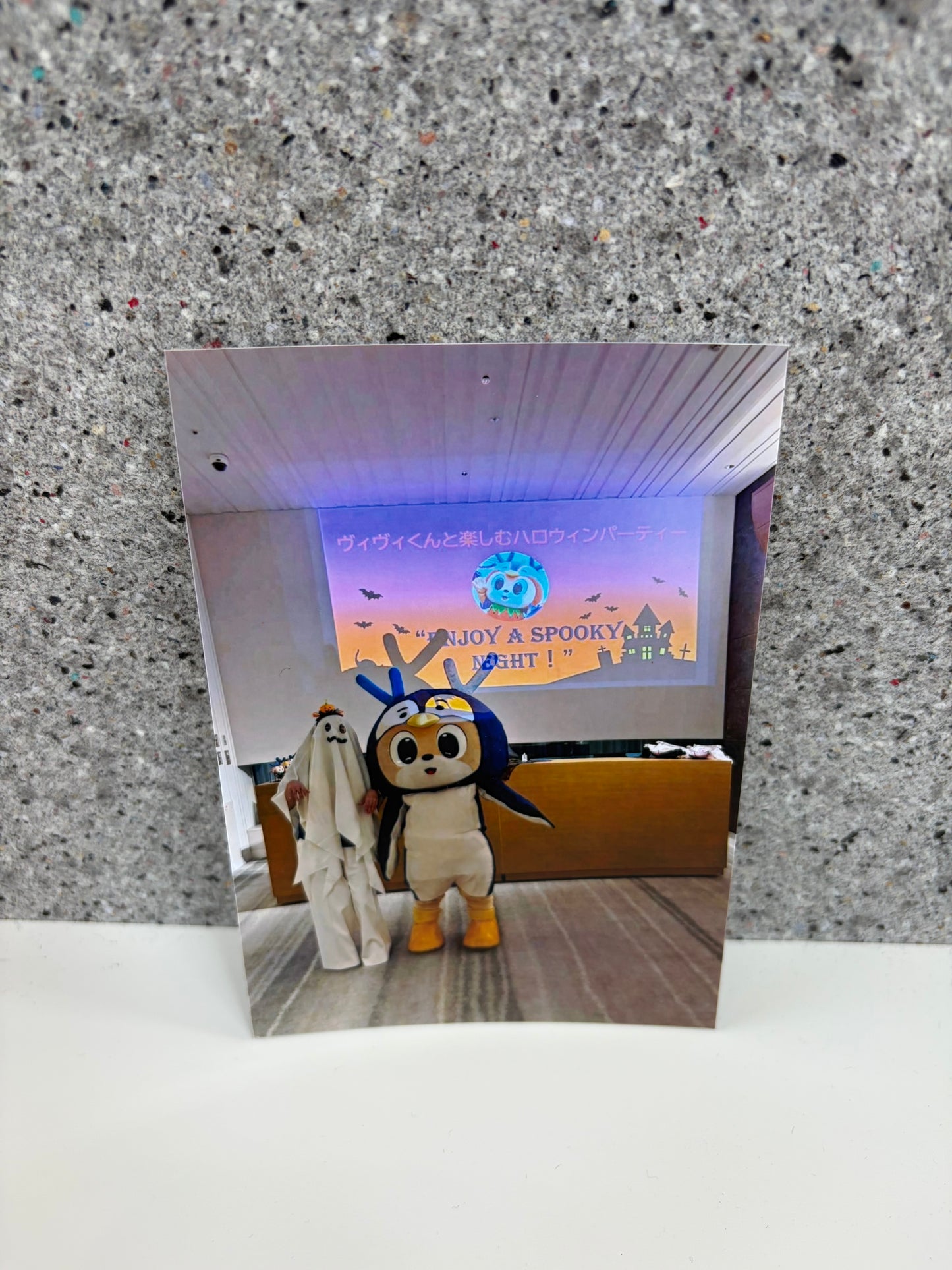 チャリティ写真32(ヴィヴィくんとへいわてん)/L版