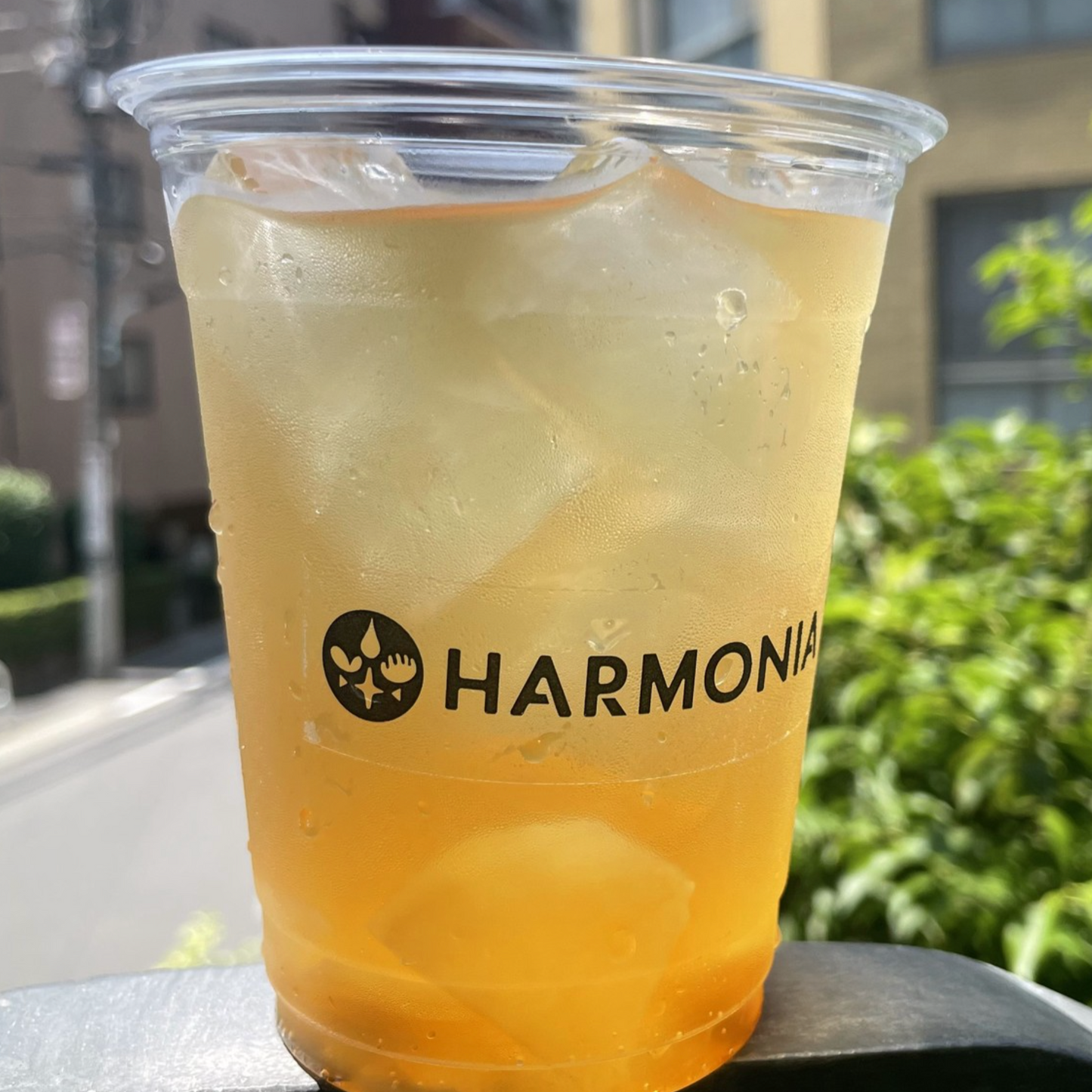 HARMONIAオリジナルジンジャーエール 甘口/辛口(TO)