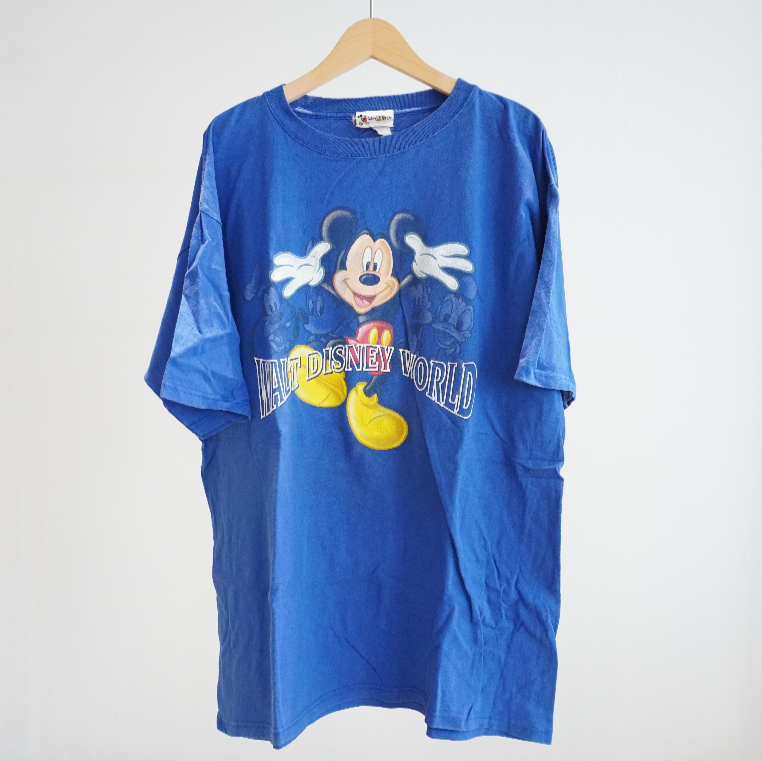 WALT DISNEY WORLD HARMONIA