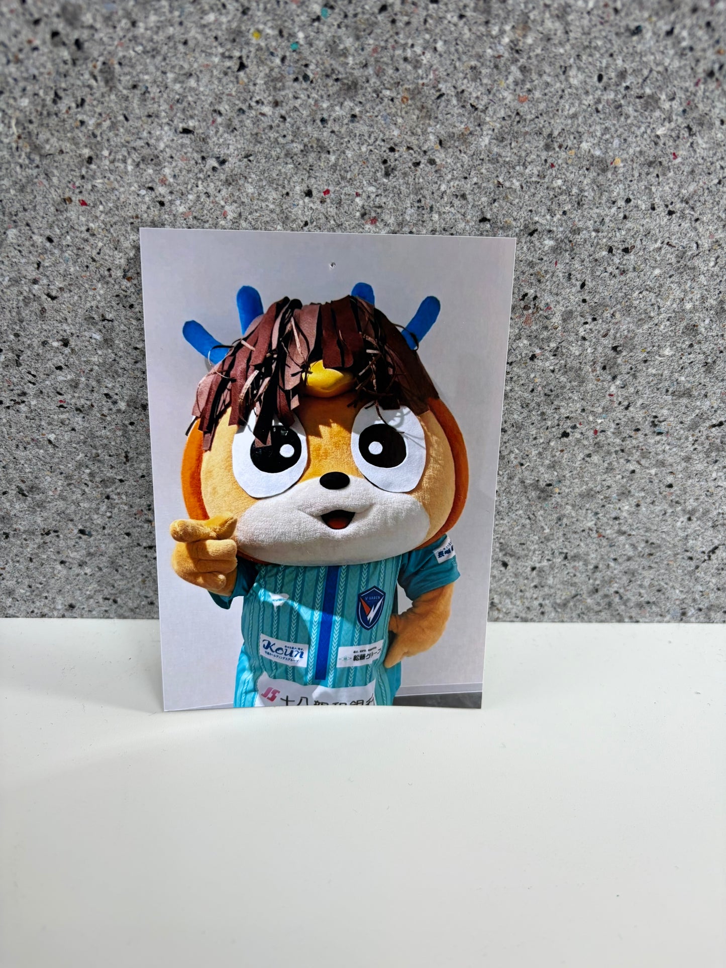 チャリティ写真３（ヴィヴィくんとへいわてん）／L版