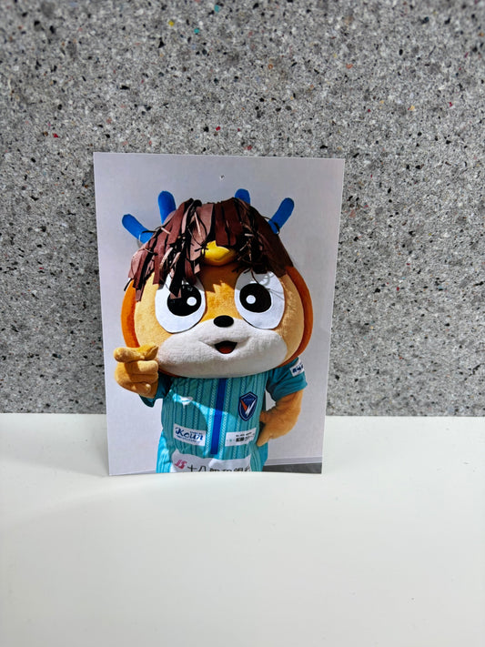チャリティ写真３（ヴィヴィくんとへいわてん）／L版