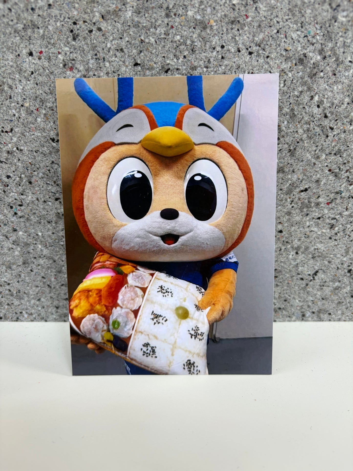 チャリティ写真１１（ヴィヴィくんとへいわてん）／L版