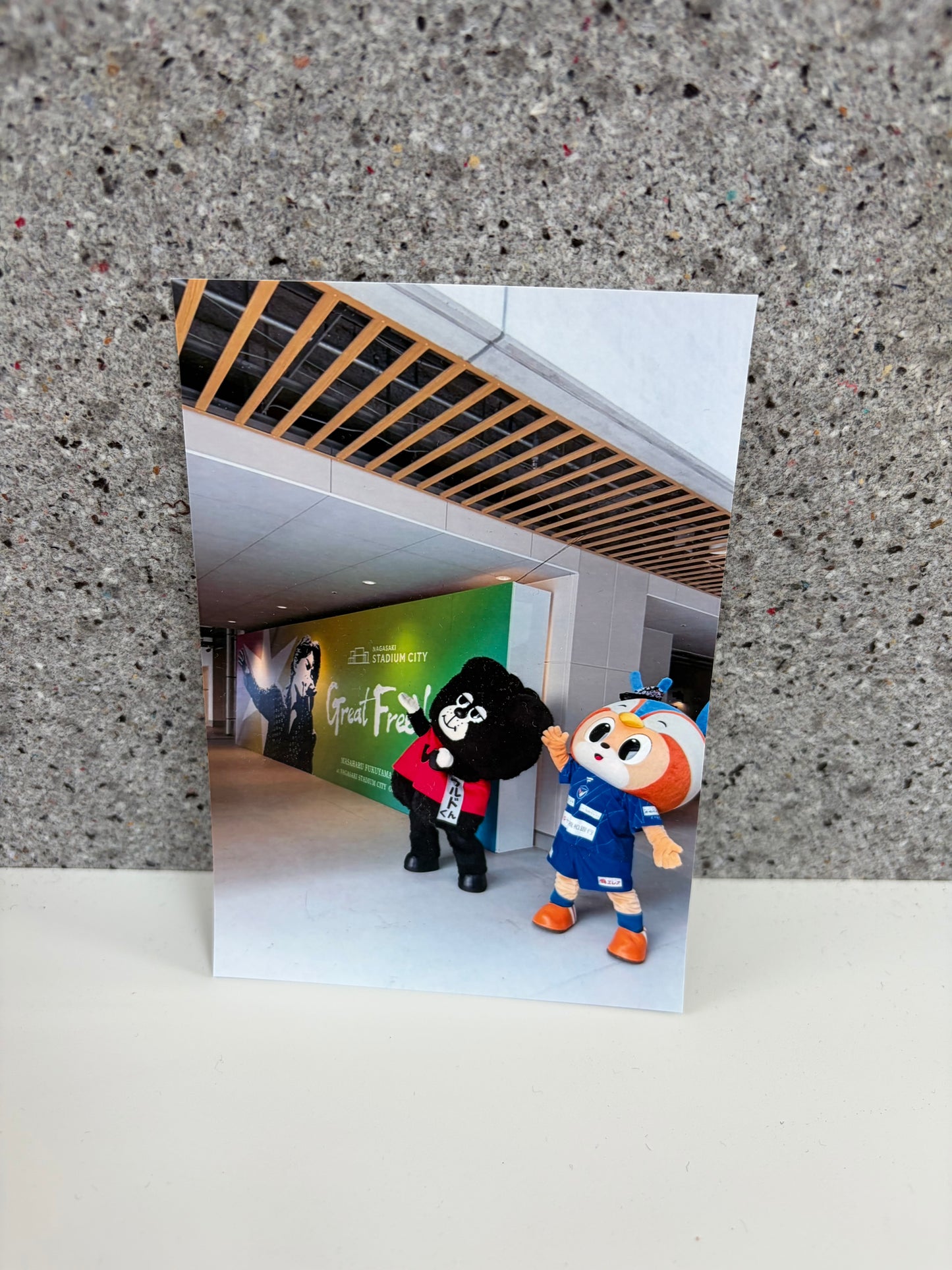 チャリティ写真１７（ヴィヴィくんとへいわてん）／L版