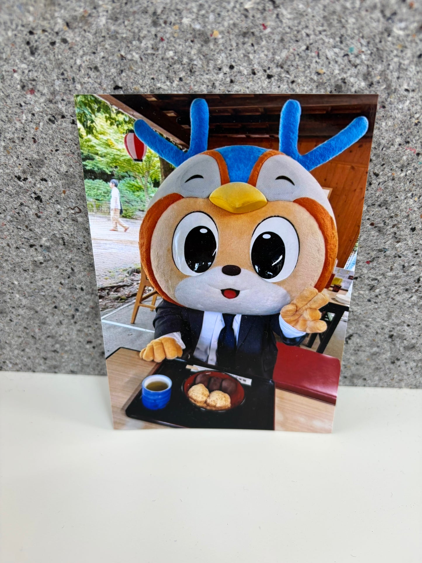 チャリティ写真２3（ヴィヴィくんとへいわてん）／L版