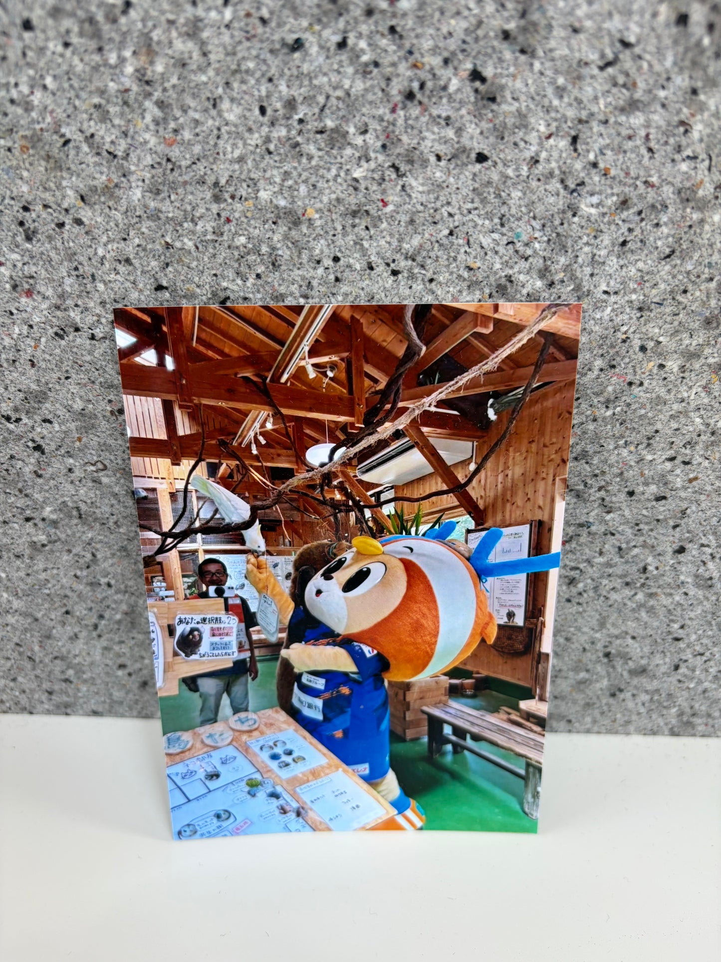 チャリティ写真２6（ヴィヴィくんとへいわてん）／L版