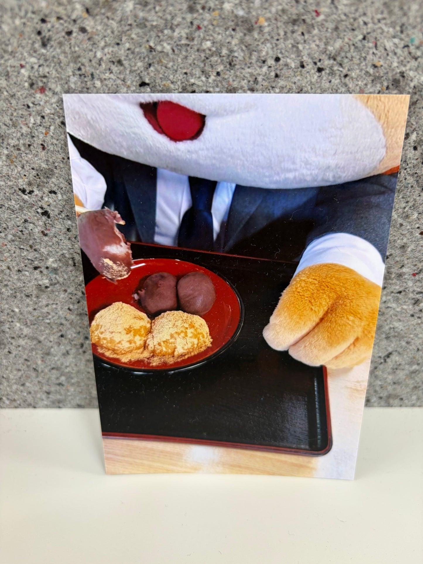 チャリティ写真２7（ヴィヴィくんとへいわてん）／L版