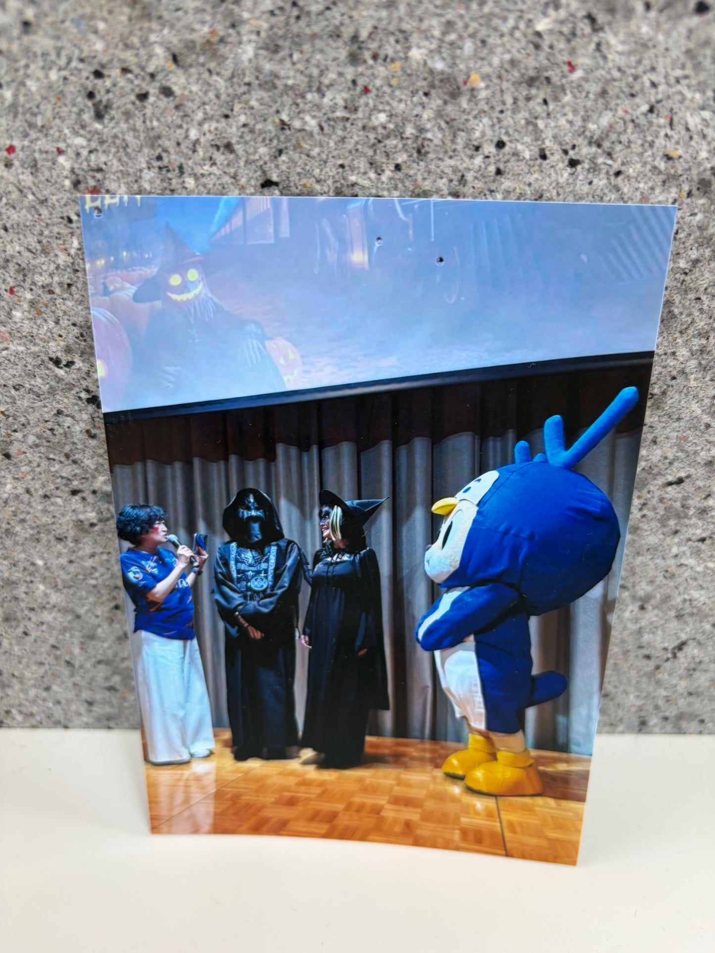チャリティ写真３１（ヴィヴィくんとへいわてん）／L版
