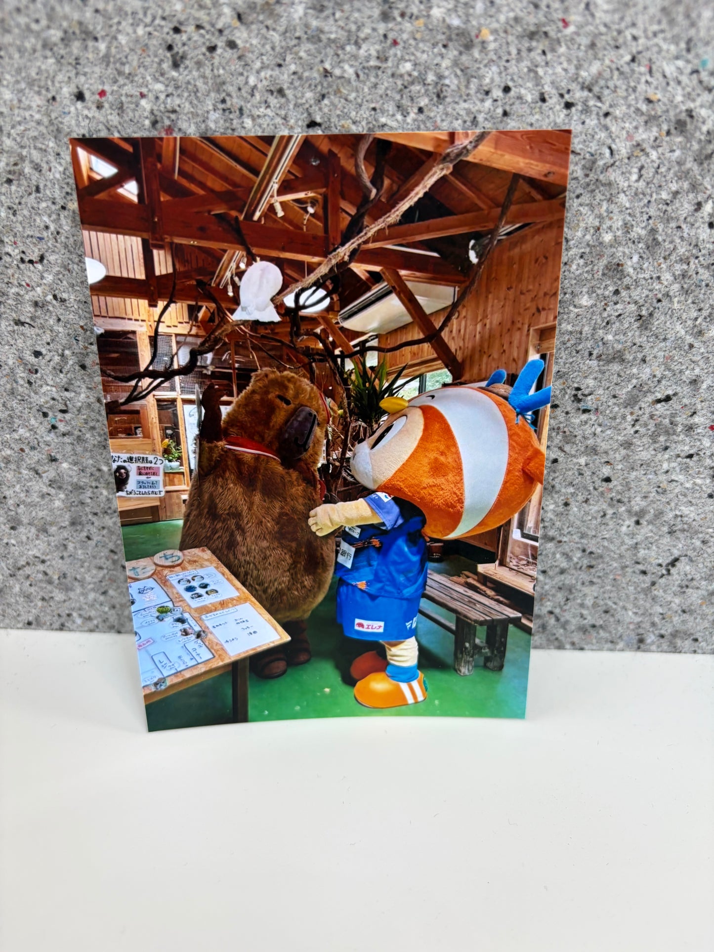 チャリティ写真３４（ヴィヴィくんとへいわてん）／L版